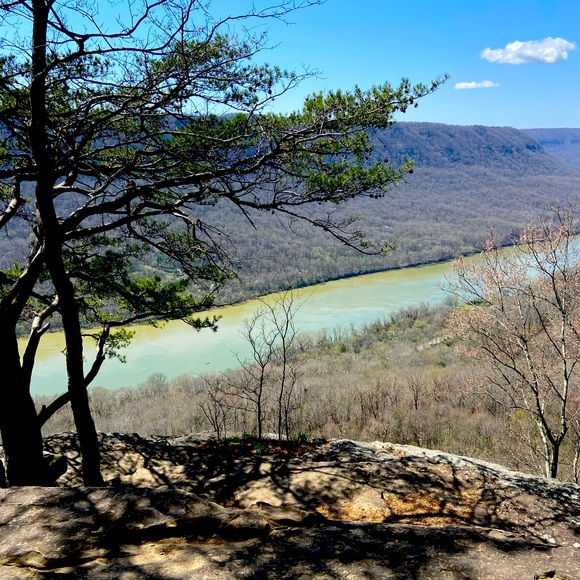 Meet your Posher, Shannon - Picture 2 of 2